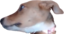 binuLooking emote for Discord
