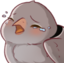 birdSadge emote for Discord