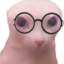 bingusNerd emote for Discord