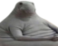 BigBri emote for Discord