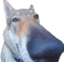 BigSNIFFA emote for Discord