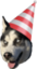 BirthdayDog emote for Discord