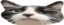bigmiles emote for Discord