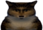bitsyStare emote for Discord