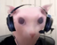 bingusGamer emote for Discord