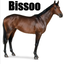 bissoo_horse emote for Discord