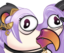 Birdentge emote for Discord