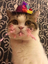 birthday emote for Discord