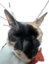 BiniaWeed emote for Discord