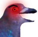 birbRAGE static emote for Discord, Twitch and Slack