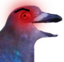 birbRAGE emote for Discord