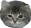 CITIK emote for Discord