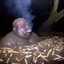 cigarettebogswampmonster emote for Discord