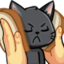 CiriSendvic emote for Discord