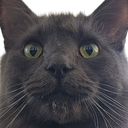 CINDER static emote for Discord, Twitch and Slack