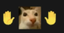 CineCAT emote for Discord