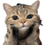 cjutie emote for Discord