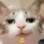 ClearlyYouDontOwnAnAirfryer emote for Discord