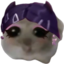 CloveOh emote for Discord