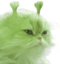 clorp emote for Discord
