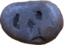 clovesPetRock emote for Discord