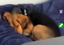 CliffSleep emote for Discord