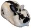 bnuyLoaf emote for Discord