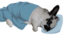 BnuySleepy emote for Discord
