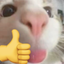 bThumb emote for Discord