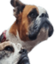 btDoggos emote for Discord
