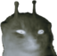 bwlorp emote for Discord
