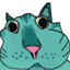 BWIRES emote for Discord