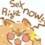 CeobeSexRightNow emote for Discord