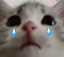cCry emote for Discord