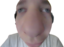 ccmSniffa emote for Discord
