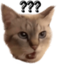 cchuh2 emote for Discord