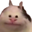 cemkaKEK emote for Discord