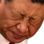 CCPains emote for Discord