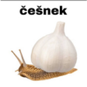 cesnek static emote for Discord, Twitch and Slack