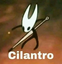 Cilantro emote for Discord