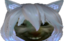 CGEXdd emote for Discord