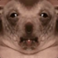 creatureUh emote for Discord