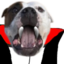 creepypeepy emote for Discord