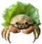 Crabbage emote for Discord