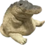 CrocoSit emote for Discord
