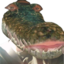 Crocodile emote for Discord