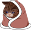 cryingcat112x112 emote for Discord