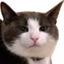 CrashSmug emote for Discord