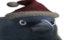 CrowOfJudgementSanta emote for Discord