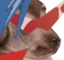 creatureKamina emote for Discord